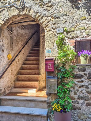 A stone staircase leading to an entrance, a mailbox marked with the number 65, and a potted plant with flowers. - Il Tinello (Villafranca in Lunigiana)