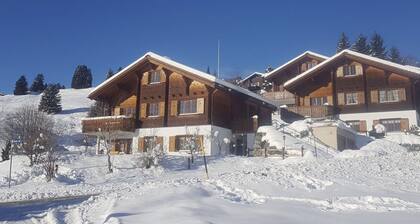 Baria Sut 5, (Oberurmein). by Interhome