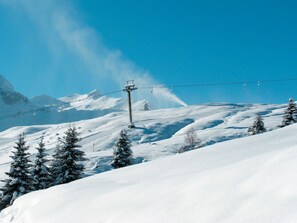 Un paysage de montagne enneigé, avec un télésiège et des arbres recouverts de neige.