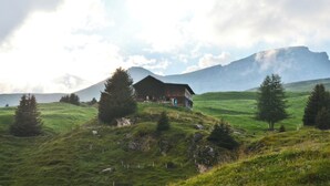 Une cabane en bois rustique, située sur une colline herbeuse, avec une montagne en arrière-plan.