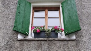 A window with green shutters and a flower box containing pink flowers.
