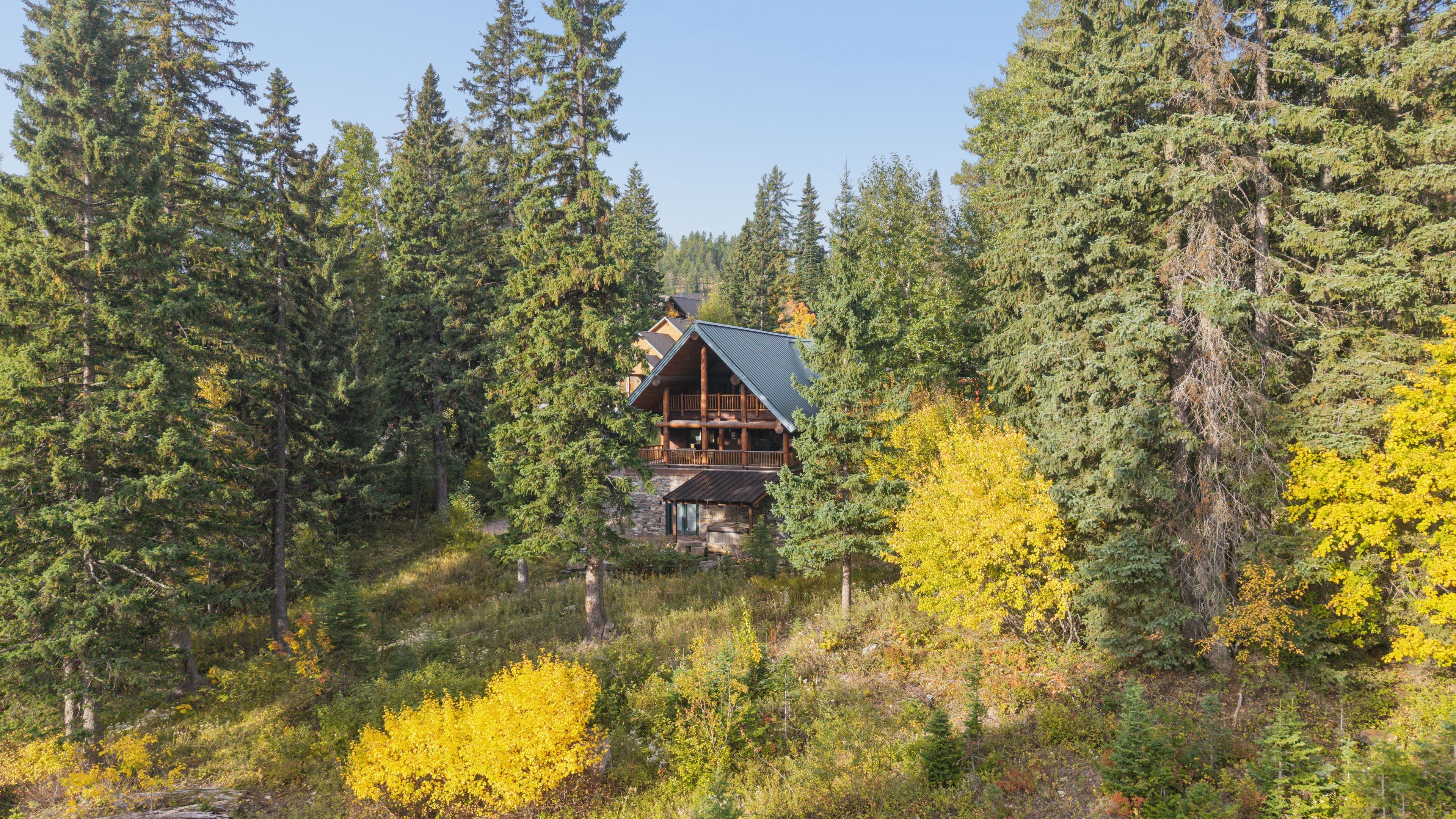 Une cabane entourée d’une forêt dense, avec une structure en bois particulièrement imposante.