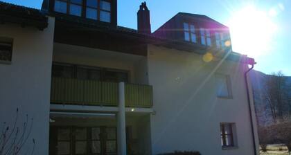 Wohnung Sut Baselgia, (Andeer), by Interhome