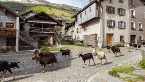 A cobblestone street with buildings, a staircase, and cows. - Haus Aebli, (Hinterrhein), by Interhome (Hinterrhein)