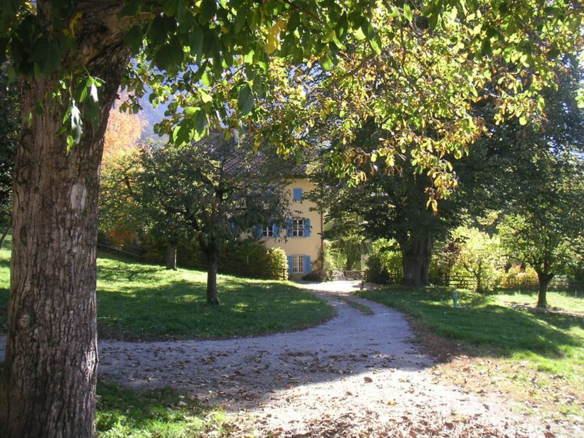 A gravel path leading to a yellow building surrounded by trees.