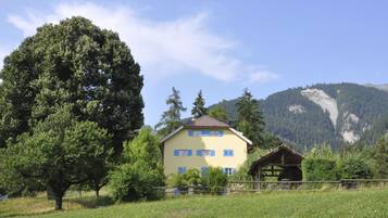 A two-story building with a yellow facade and blue shutters, surrounded by a grassy field and a large tree.