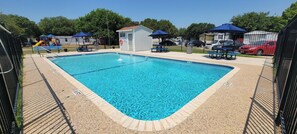 Ein rechteckiger Pool mit Fliesenrand, umgeben von einem Zaun und beschattet durch Sonnenschirme.