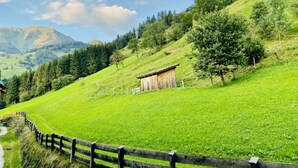 A rural landscape with a wooden cabin on a hillside, surrounded by lush green fields and trees. - Apartment  by Interhome (Rauris)