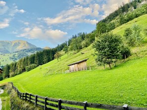 Ländliche Landschaft mit einer Holzhütte an einem Hügel, umgeben von üppigen grünen Feldern und Bäumen.