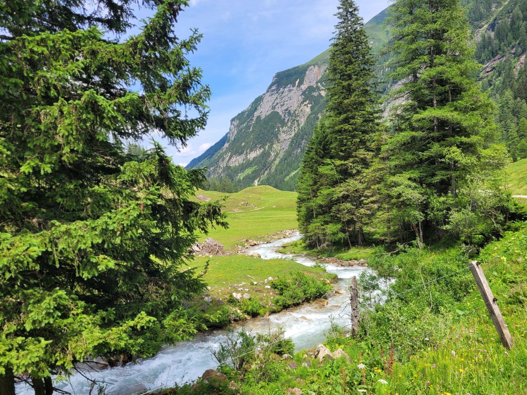 Eine gebirgige Landschaft mit Fluss, dichtem Wald und blauem Himmel.