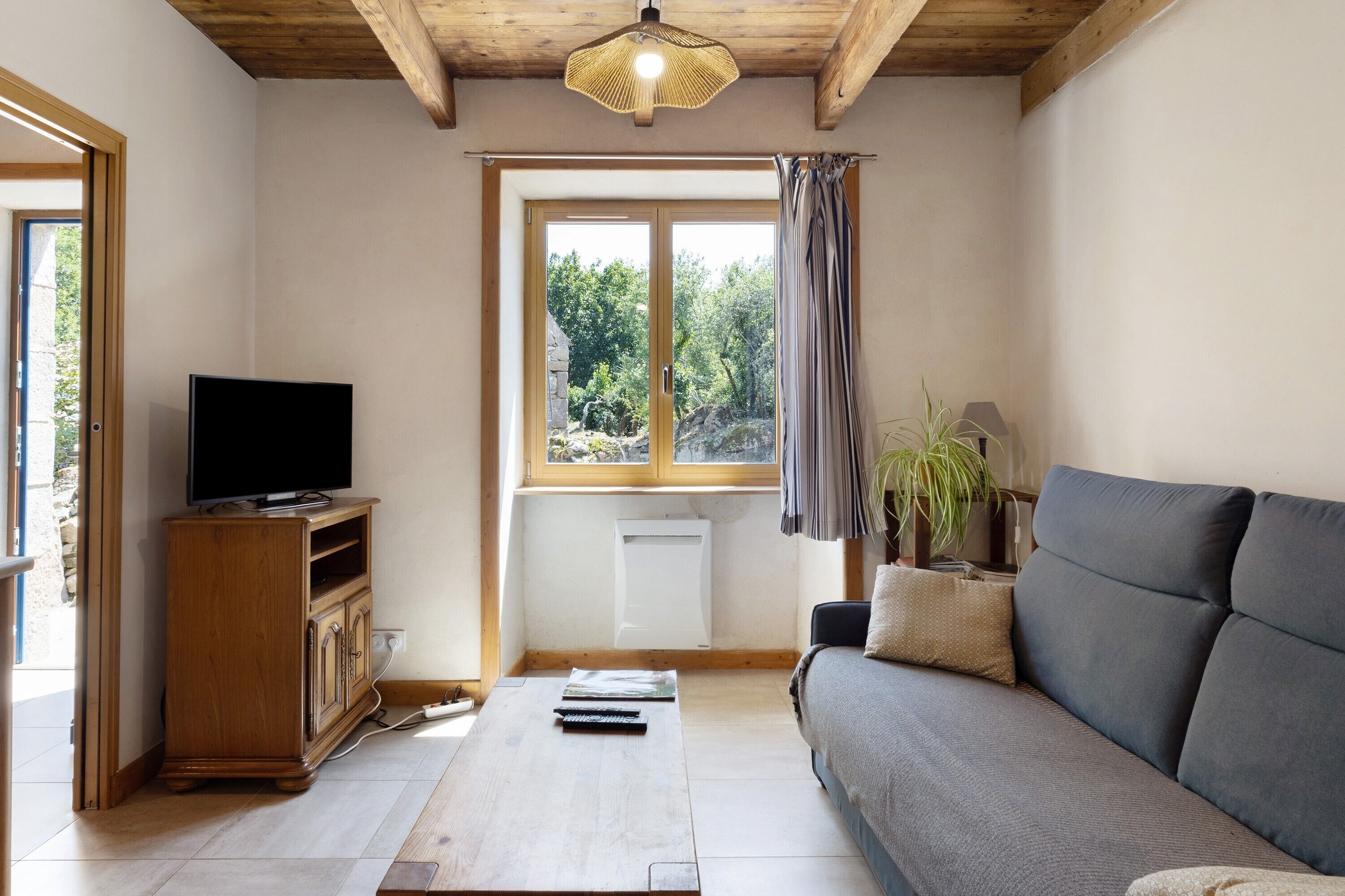 A living room with a wooden ceiling, a television on a cabinet, a sofa, a window with curtains, and a plant.