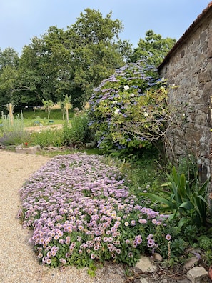 Un jardin agrémenté de diverses fleurs, un mur de pierre et un arbre.