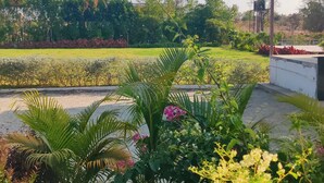 A garden with various plants and a structure with a roof.