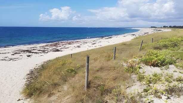 A beach with a sandy shore, a grassy area with a fence, and the ocean in the background.
