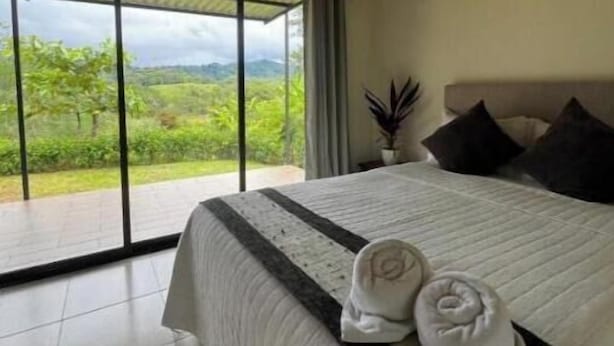 Une chambre avec un grand lit, une vue sur la verdure et un ventilateur de plafond.