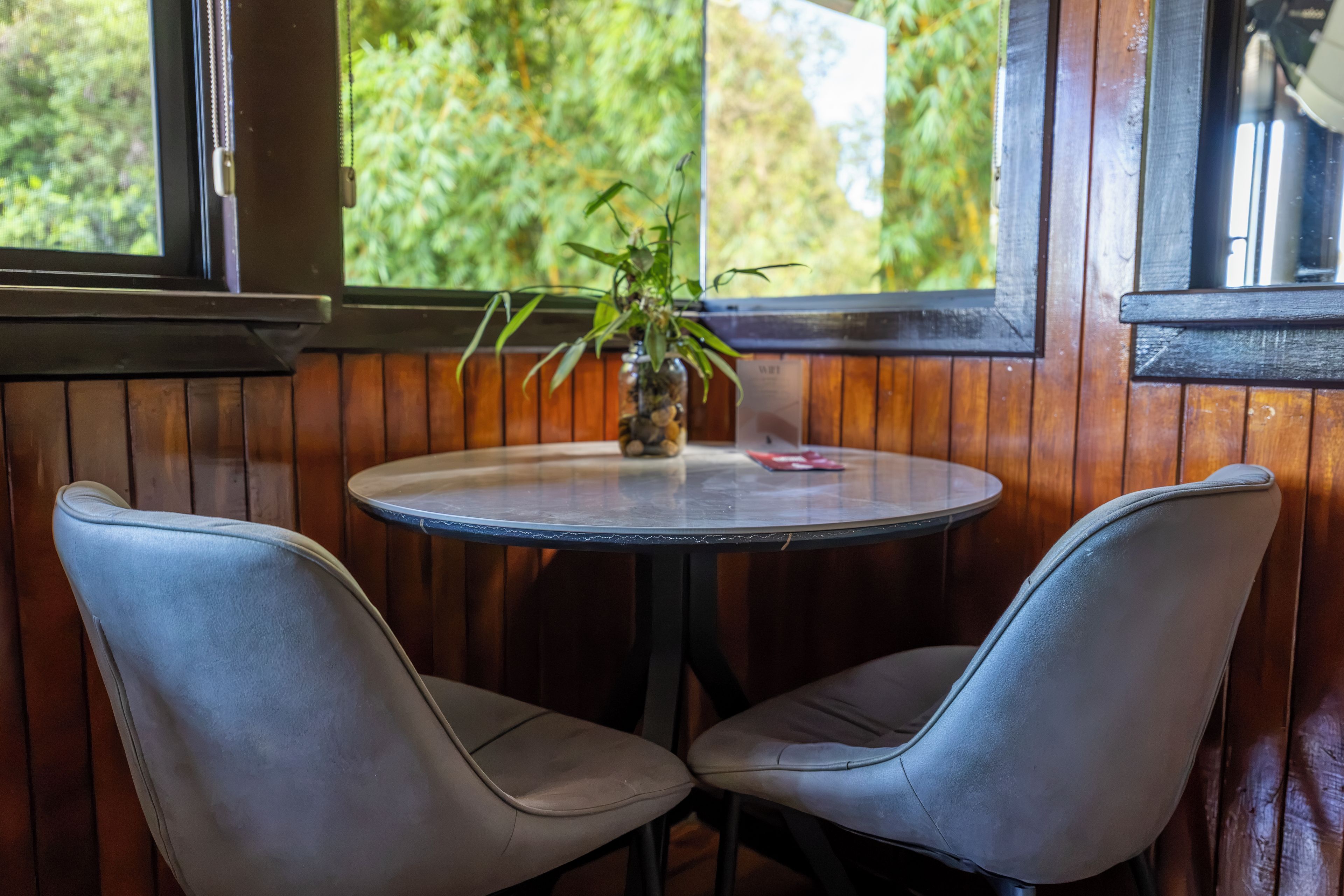 A small round table with two chairs, a potted plant, and a window with a view of greenery.