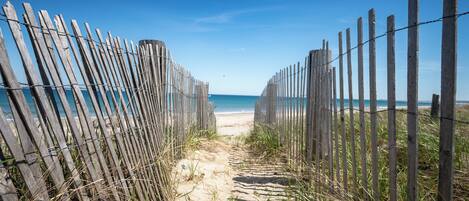 Plage, serviettes de plage