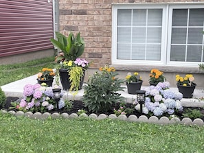 Exterior detail - Cozy pluto studio in heart of falls 10min walk to niagara falls (Niagara Falls)