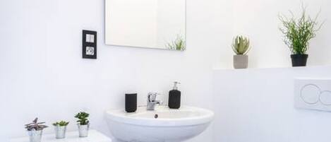 Hair dryer, towels, toilet paper