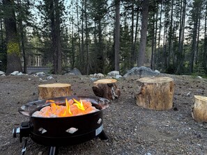 Ein Lagerfeuer im Wald, mit Bäumen und Steinen.