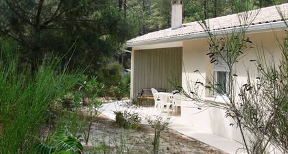Eingeschossiges Haus unter Pinien in ruhiger Lage zwischen See und Meer