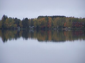 Miscellaneous