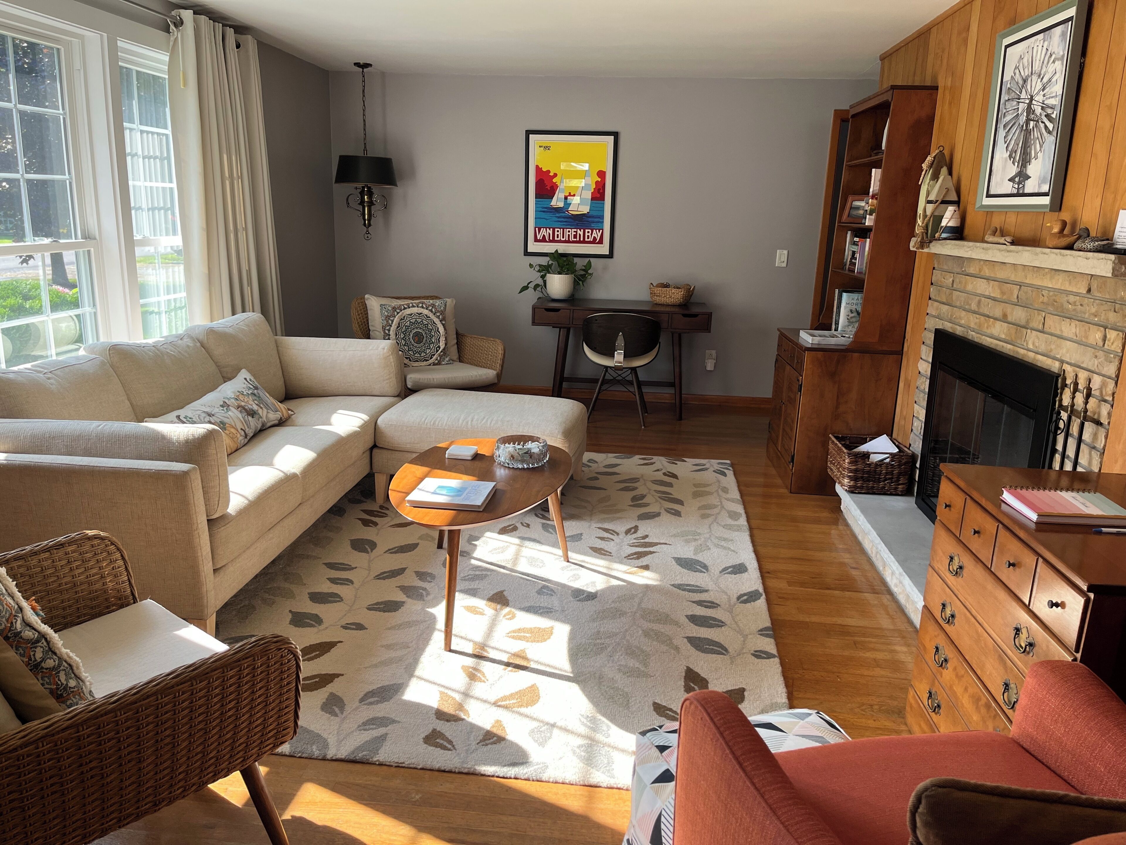 Smart TV, fireplace, books