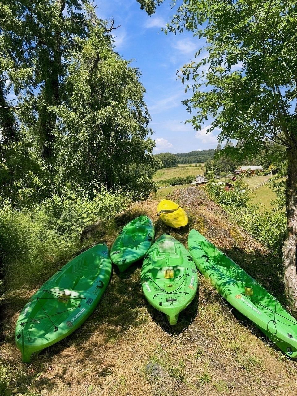 A row of kayaks on a grassy path with trees and a rural landscape in the background.
