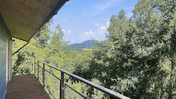 Une terrasse en bois avec une rambarde métallique donnant sur un paysage boisé.