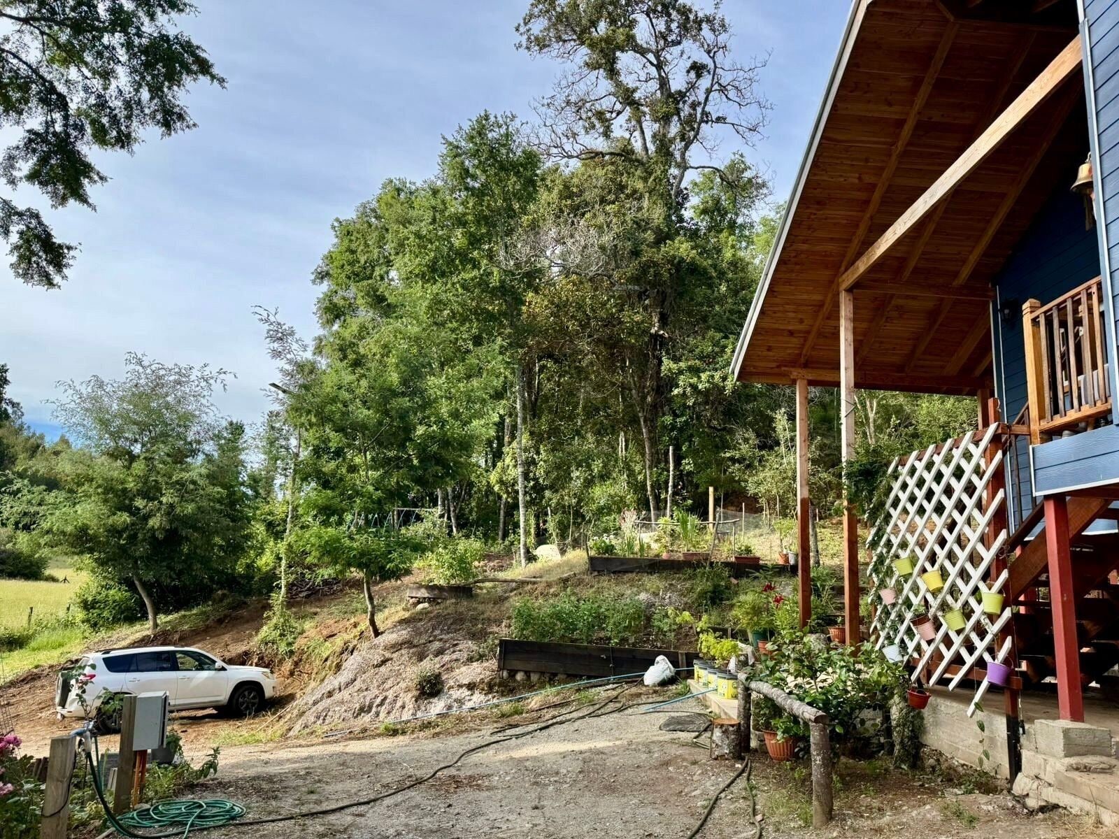 Chalet | Property grounds