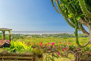 Property grounds - Bungalow Le Raisinier 2 air-conditioned bedrooms sea view and shared pool (Sainte-Anne)
