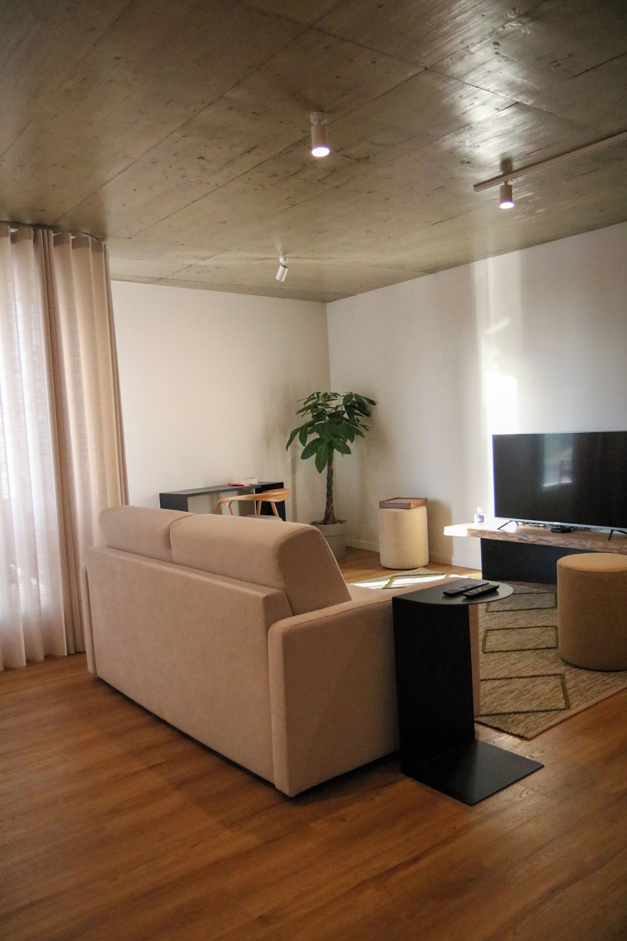 Un salon avec un canapé, un téléviseur, une petite table, une plante et une fenêtre avec des rideaux.