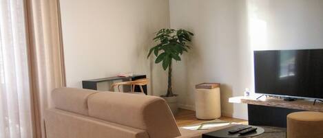 Un salon avec un canapé, un téléviseur, une petite table, une plante et une fenêtre avec des rideaux.