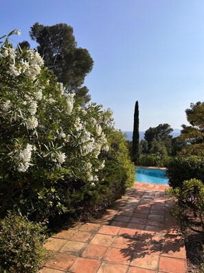 A pathway leading to a swimming pool surrounded by lush greenery and trees. - Rayol, 5-bedroom villa with pool, 100 m from the beach (Rayol-Canadel-sur-Mer)