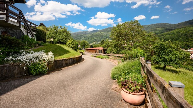 A rural road with a wooden fence, a building with a red roof, and lush greenery in the background.