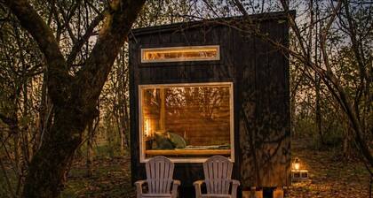 Cozy Cabin Getaway Surrounded by Spring Fed Creeks and Pond