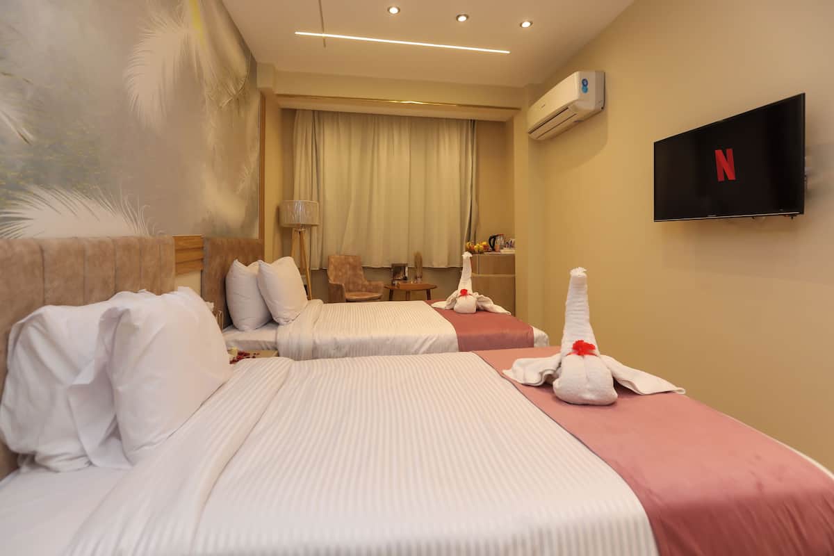 Deluxe Double or Twin Room, Mountain View