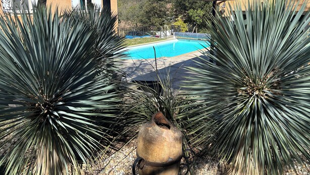 A pool area with a house in the background, surrounded by large yucca plants. - Villa with swimming pool in the Cévennes 10 people electric charging point (Mons)