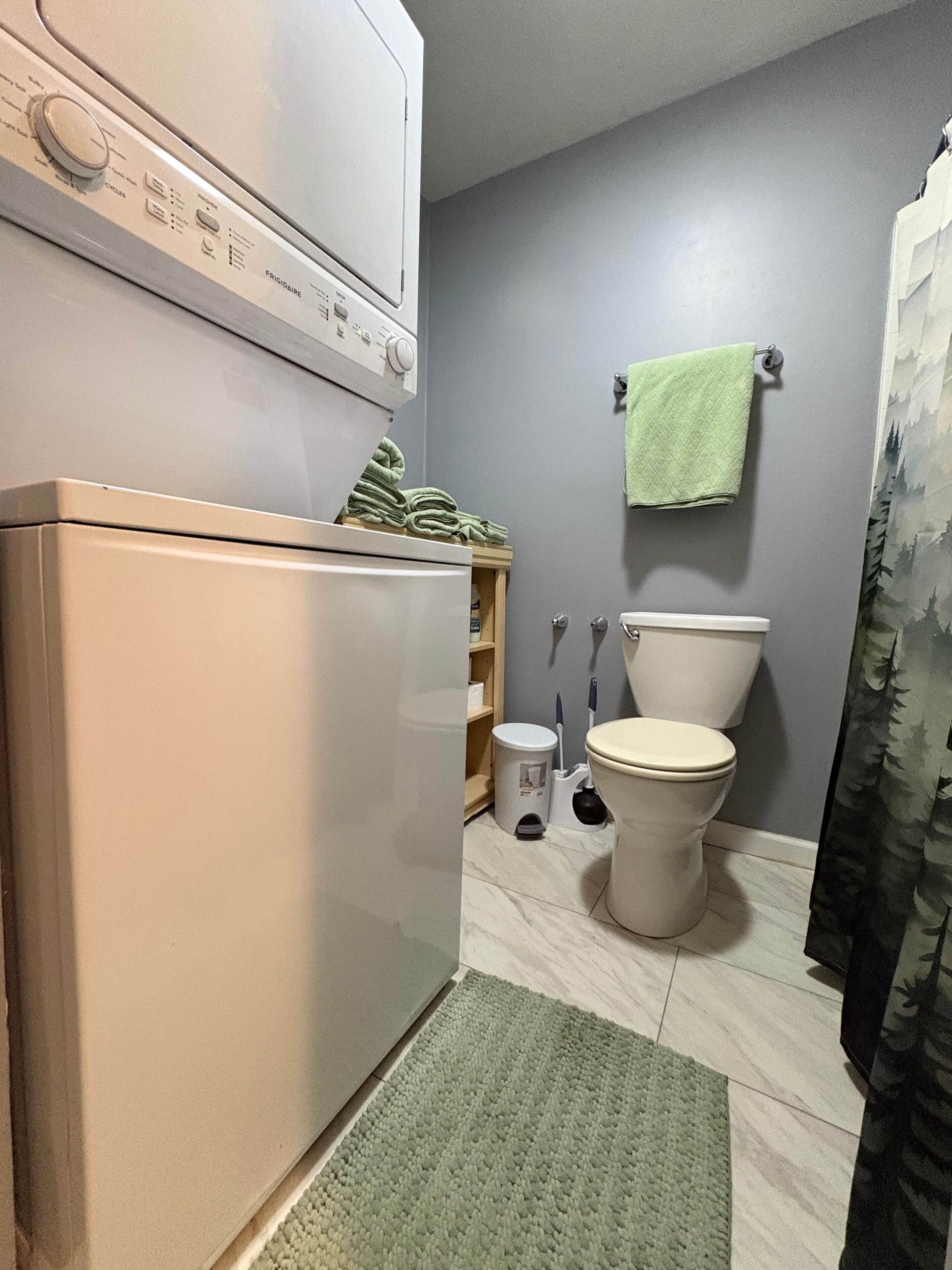 Hair dryer, towels, toilet paper