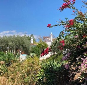 Ein Garten mit verschiedenen Pflanzen und Blumen, ein weißes Gebäude mit einem Turm und ein klarer, blauer Himmel.