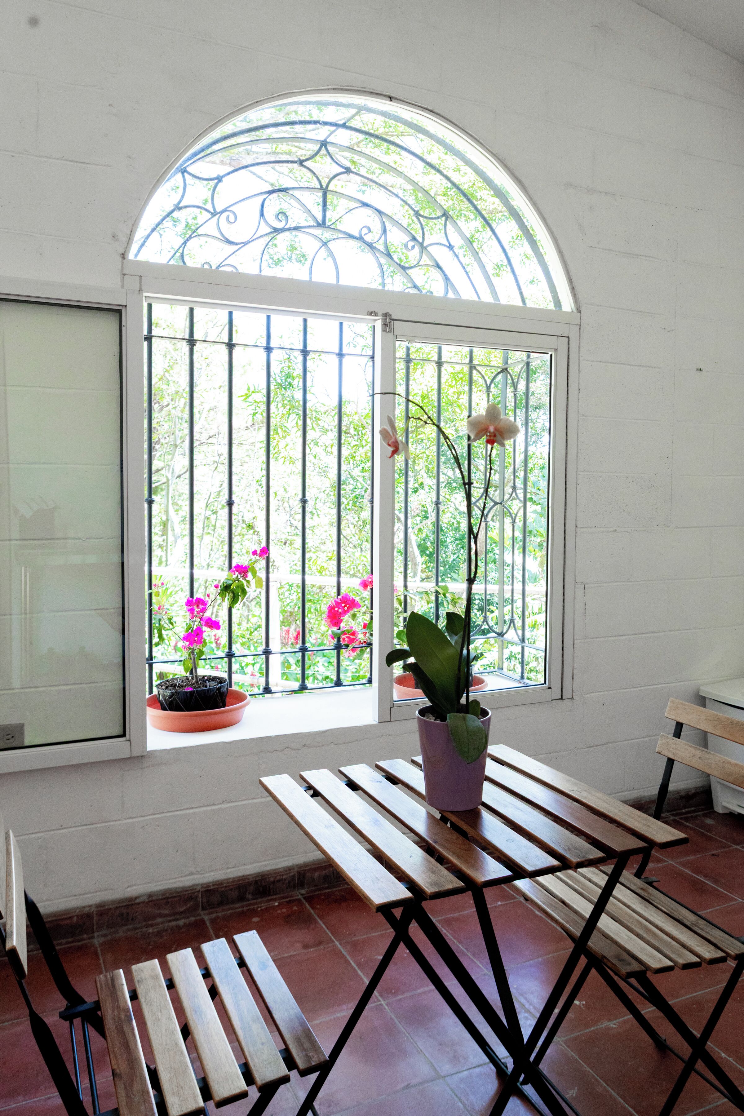 Una habitación con un ventanal arqueado, un banco de madera y dos plantas en macetas.
