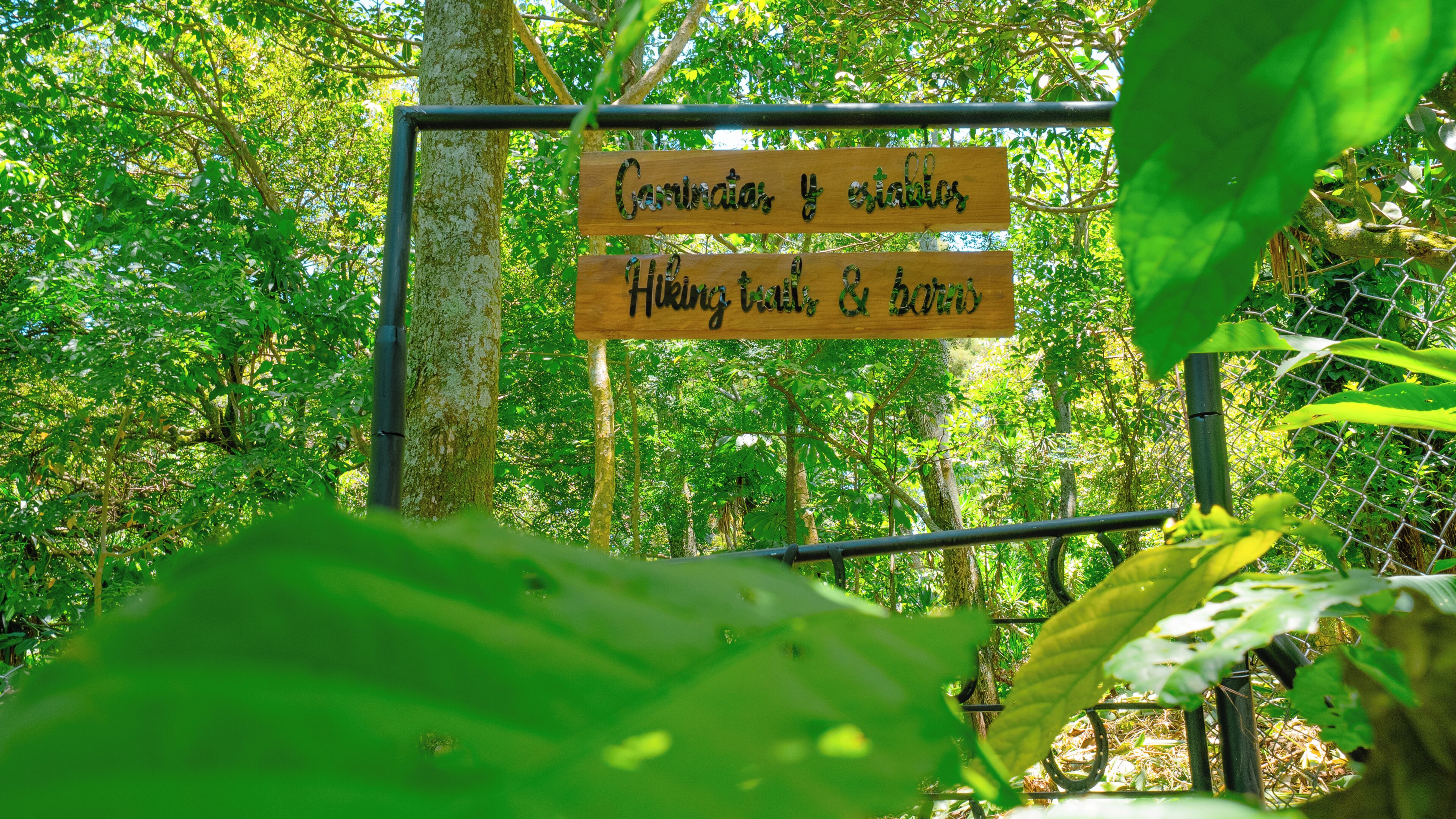 Un cartel con texto en un idioma diferente al inglés, rodeado de follaje verde denso.