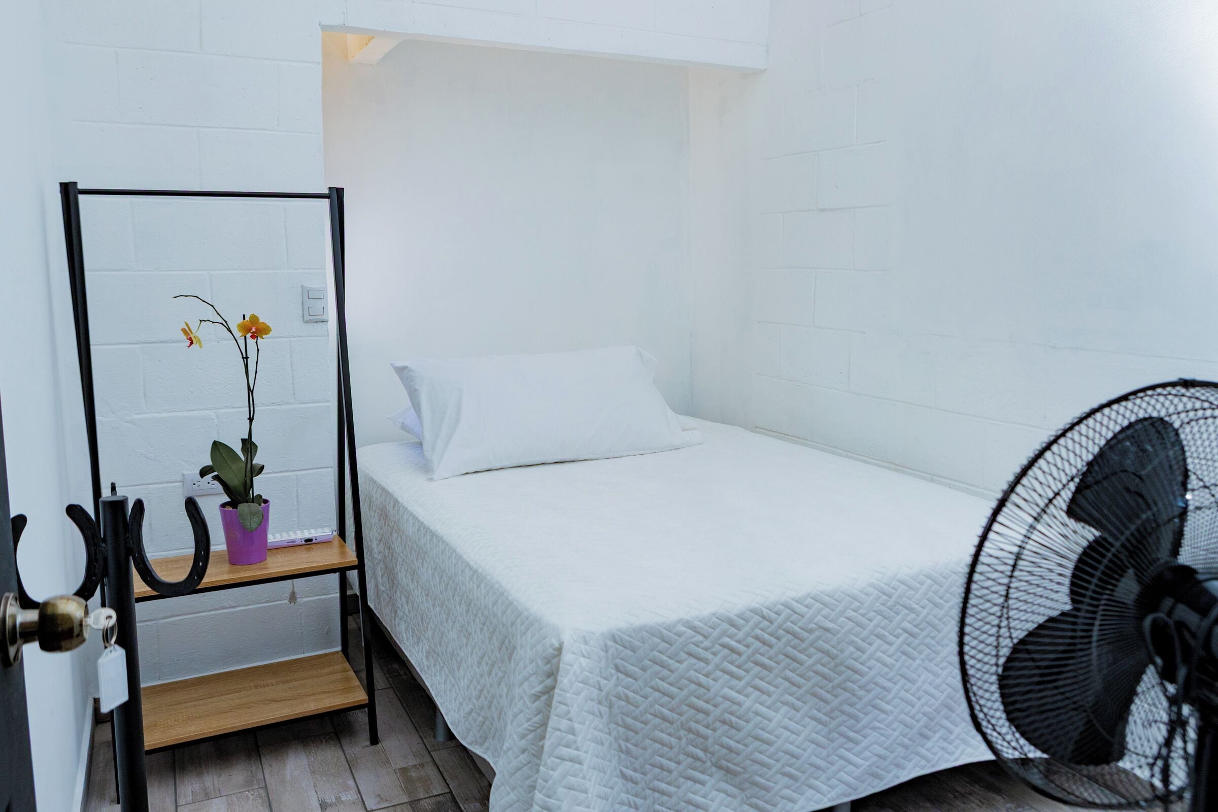 Una cama individual con colcha blanca, un ventilador de pie, una pequeña estantería con una planta y una puerta con un perchero para llaves.