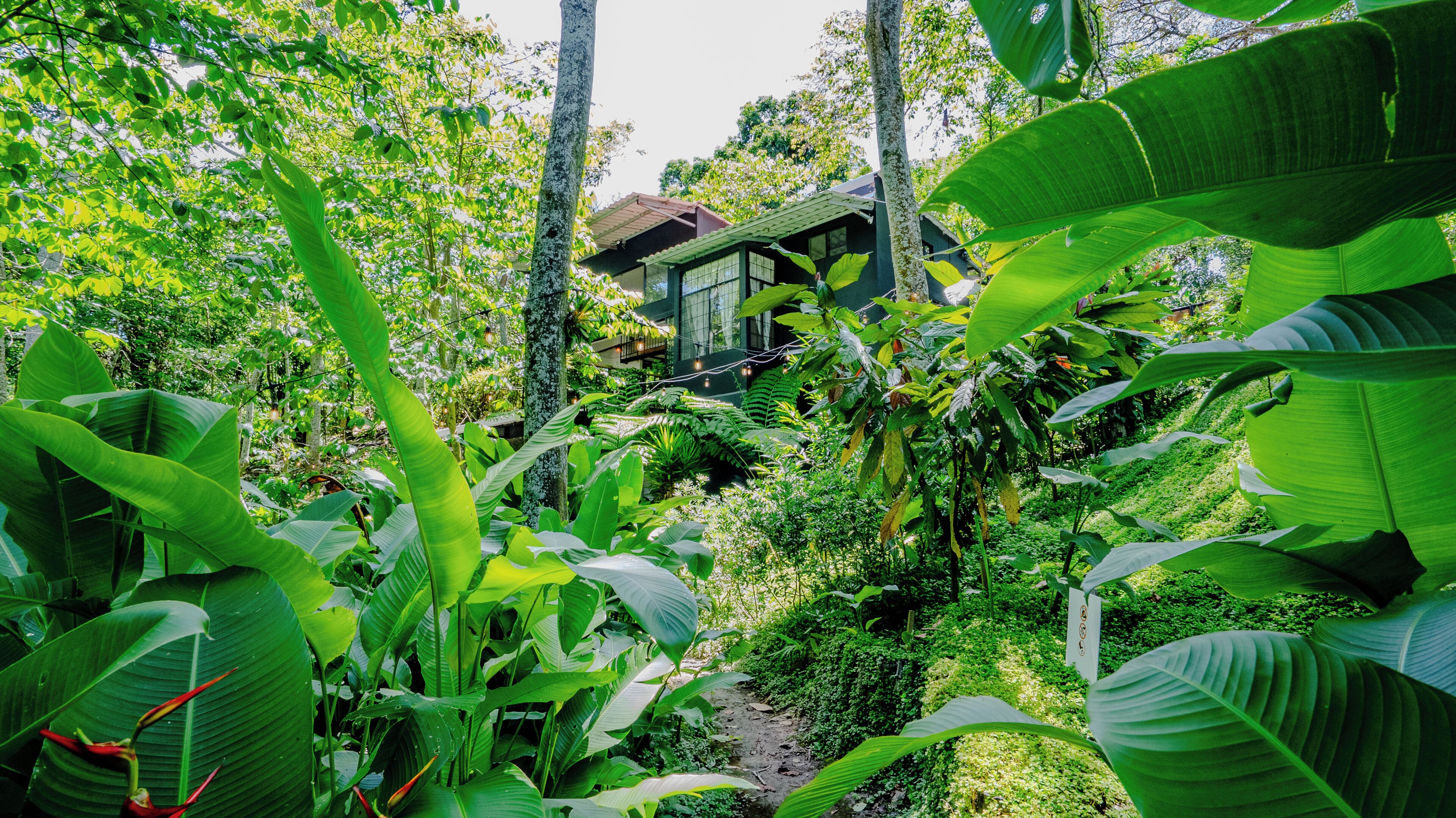 One of a kind signature villa, botanic paradise | Garden view