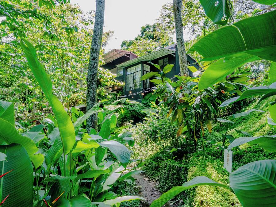 One of a kind signature villa, botanic paradise | Vista giardino