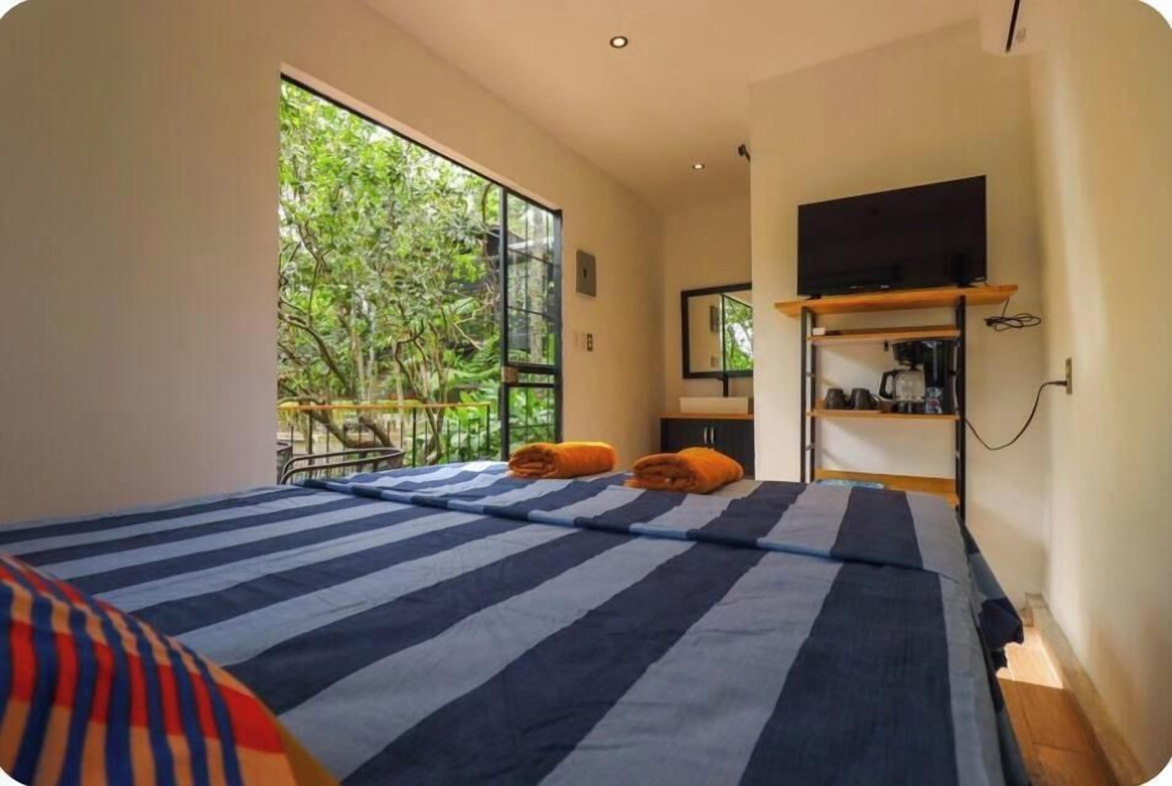A room with a bed, a TV, a shelf with items, and a view of greenery.