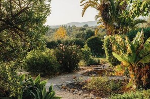 Ein Garten mit vielfältigen Pflanzen und einem kleinen Bach.