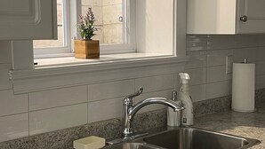 Una cocina con un lavamanos de acero inoxidable, una ventana con una planta y gabinetes blancos.