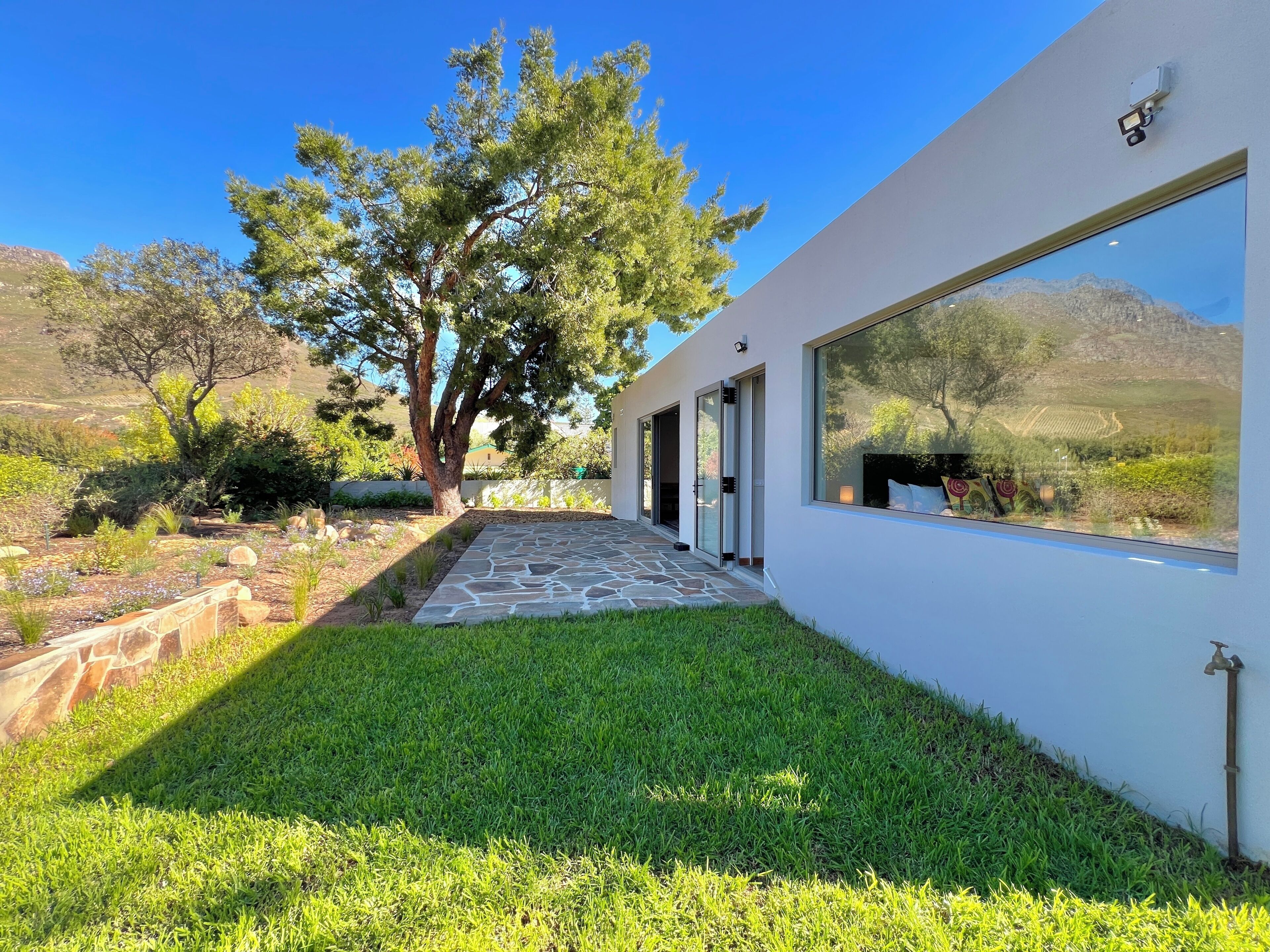 A modern building with a stone pathway leading to a glass door, surrounded by greenery and a large tree.
