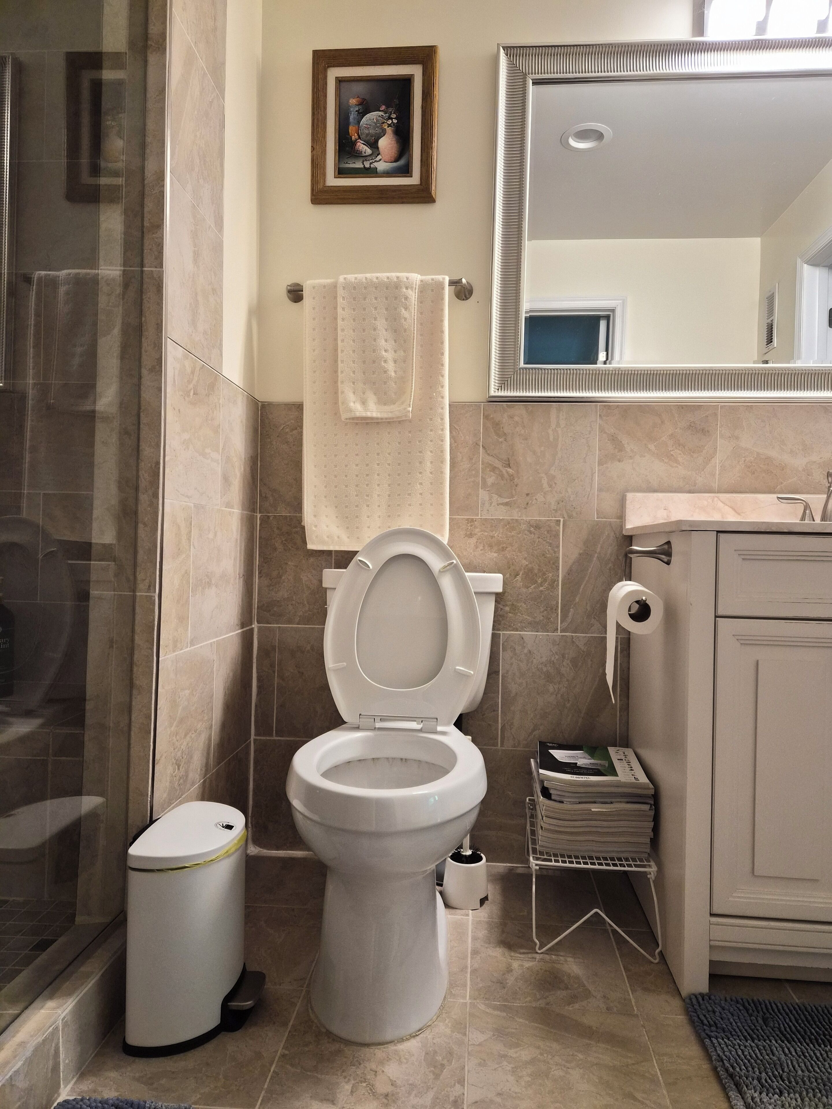 Une salle de bain comprenant des toilettes, une poubelle, un espace douche, une serviette, un miroir et un tableau encadré accroché au mur.